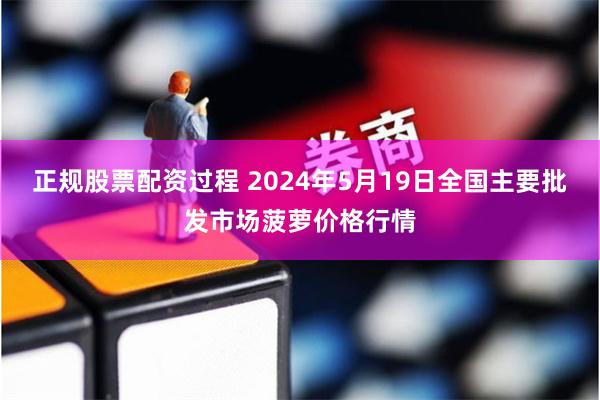 正规股票配资过程 2024年5月19日全国主要批发市场菠萝价格行情