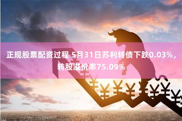 正规股票配资过程 5月31日苏利转债下跌0.03%，转股溢价率75.09%