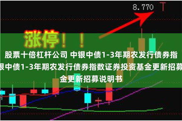 股票十倍杠杆公司 中银中债1-3年期农发行债券指数: 中银中债1-3年期农发行债券指数证券投资基金更新招募说明书