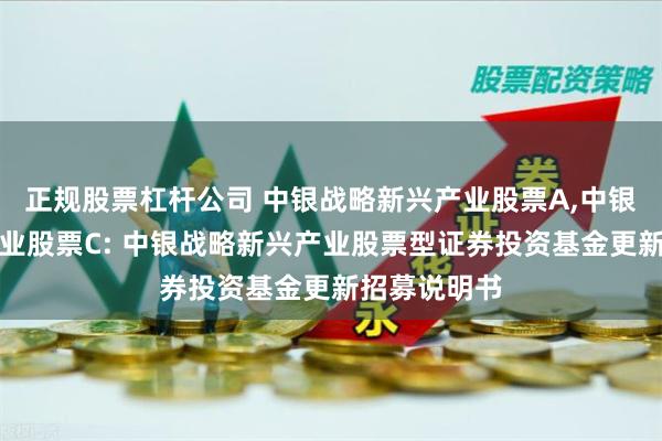 正规股票杠杆公司 中银战略新兴产业股票A,中银战略新兴产业股票C: 中银战略新兴产业股票型证券投资基金更新招募说明书