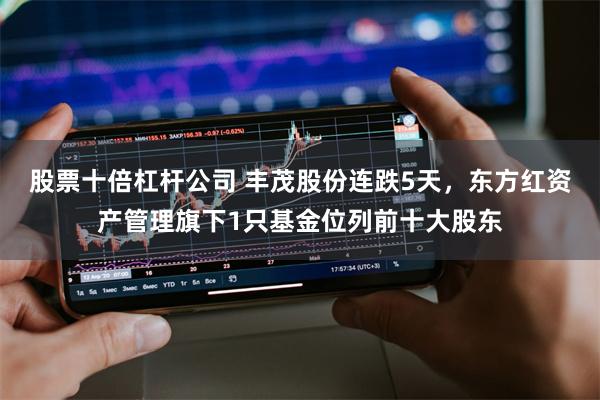 股票十倍杠杆公司 丰茂股份连跌5天，东方红资产管理旗下1只基金位列前十大股东