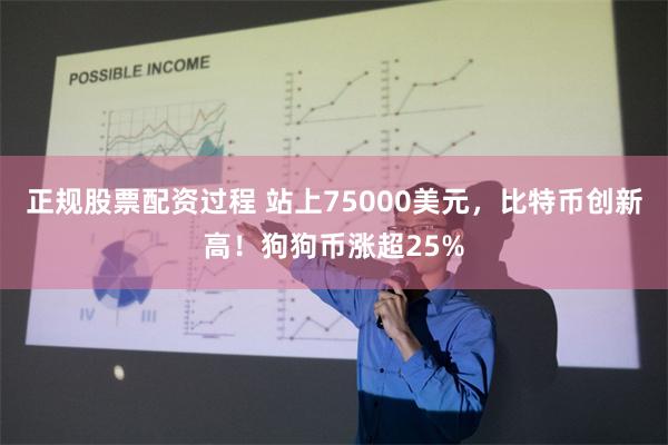 正规股票配资过程 站上75000美元，比特币创新高！狗狗币涨超25%