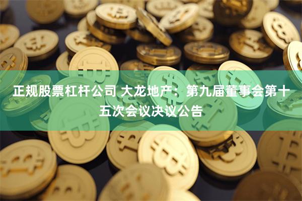 正规股票杠杆公司 大龙地产：第九届董事会第十五次会议决议公告