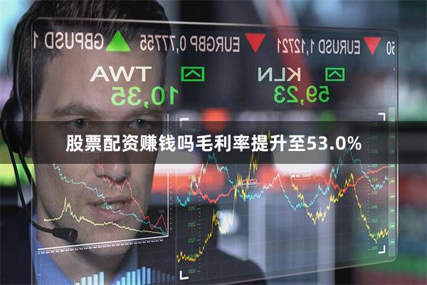 股票配资赚钱吗毛利率提升至53.0%