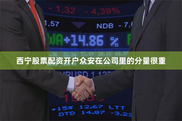 西宁股票配资开户众安在公司里的分量很重
