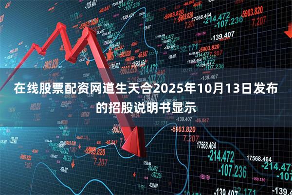在线股票配资网道生天合2025年10月13日发布的招股说明书显示